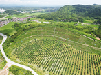 芜湖繁昌区：废弃矿山的蝶变